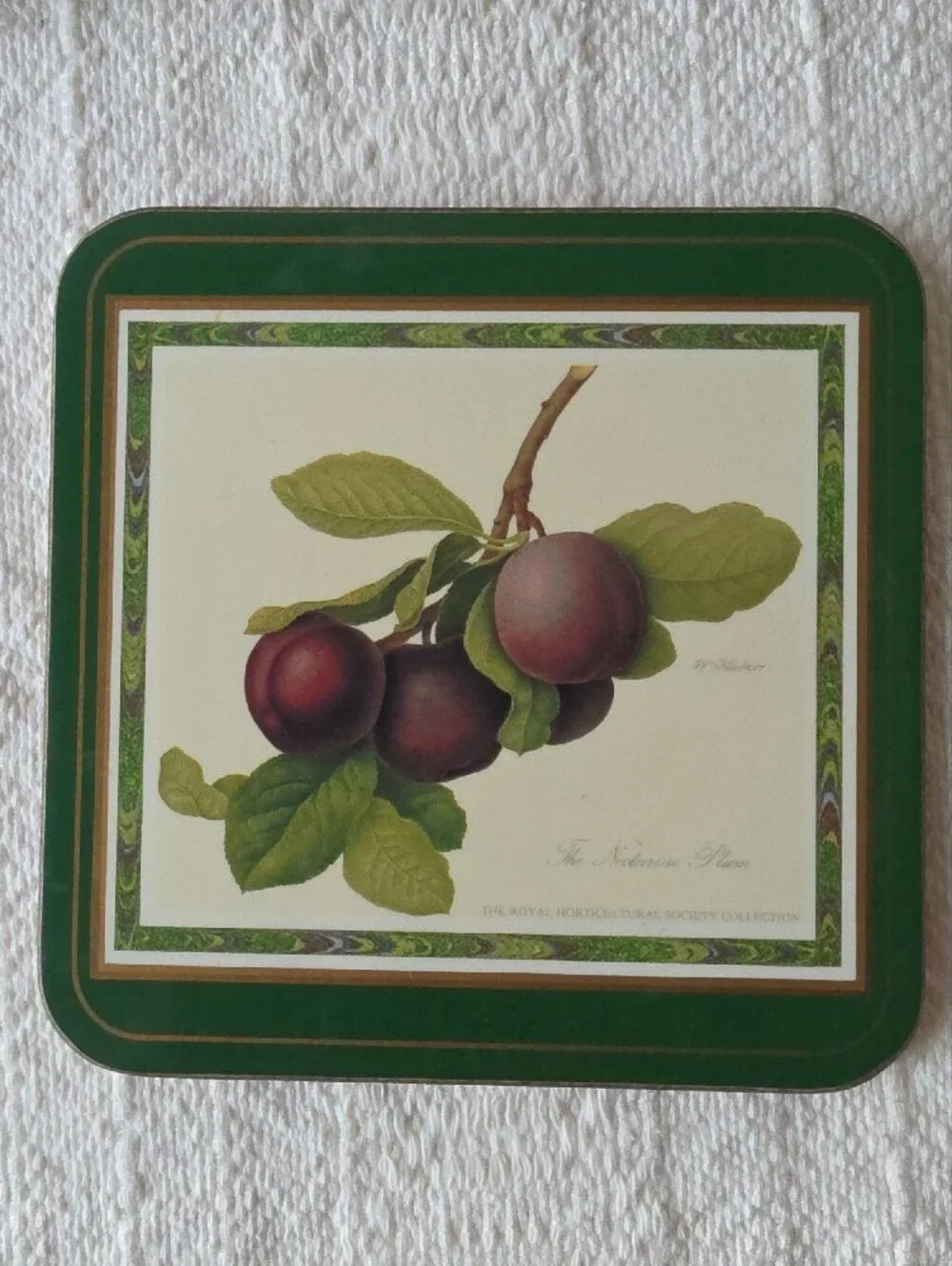 Pimpernel Vintage Botanical Fruit Coaster Set in Green and Cream